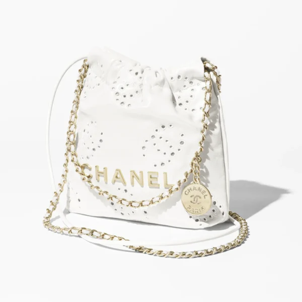 2025 Spring and Summer Preview Series CHANEL 22 Mini Handbag