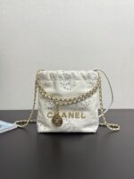 2025 Spring and Summer Preview Series CHANEL 22 Mini Handbag
